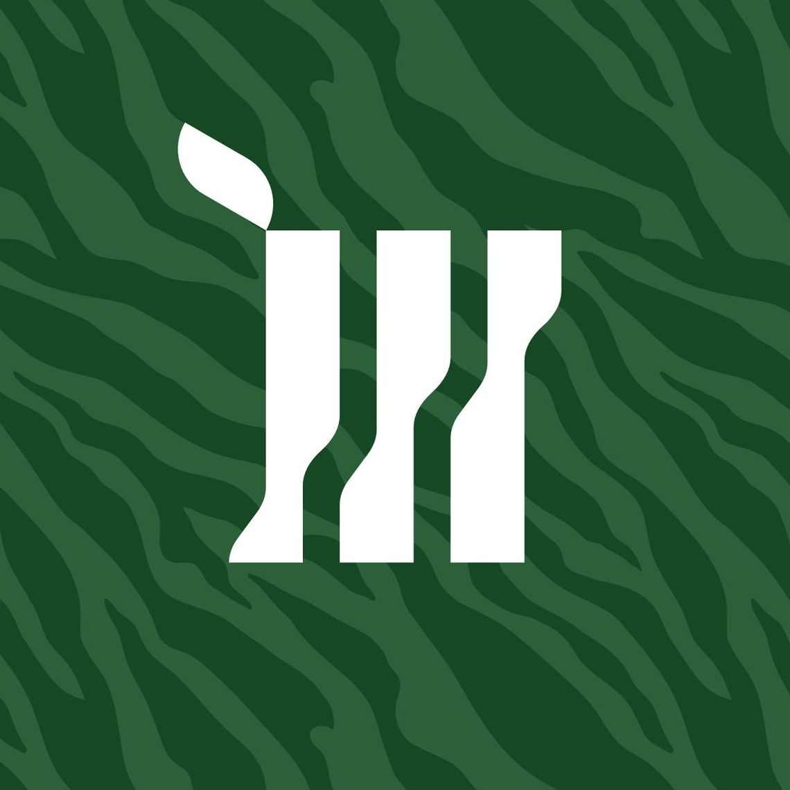 Hurtownia florystyczna - pm-m.pl