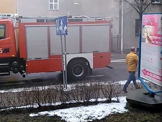 fot. Julia Budzyńska