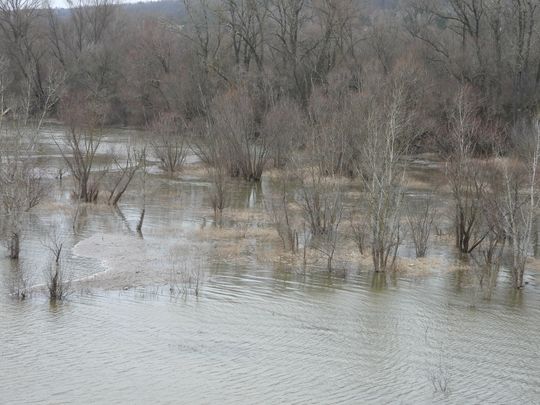 wisła zalała Włocławek