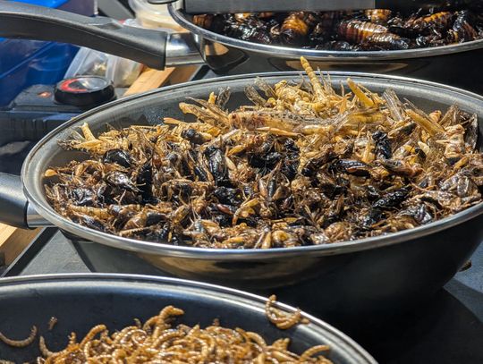 Targi Rzeczy Wartych Zachwytu, Festiwal Słodyczy Świata, Festiwal Piwa, Wina i Nalewek oraz Festiwal Kuchni i Kultury Azjatyckiej