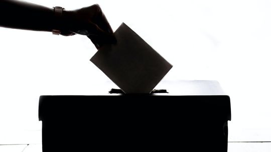 Czy weźmiecie udział w referendum? Czy weźmiecie udział w referendum?
